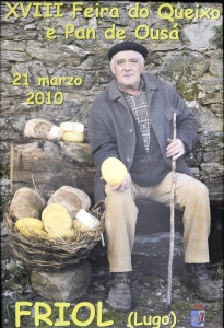 Galería Fotográfica